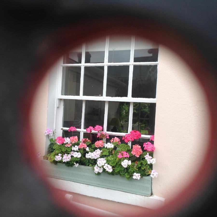 Newton Cottage พอร์ธคอว์ล ภายนอก รูปภาพ