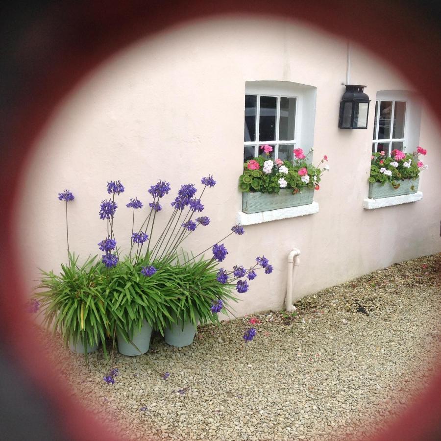 Newton Cottage พอร์ธคอว์ล ภายนอก รูปภาพ