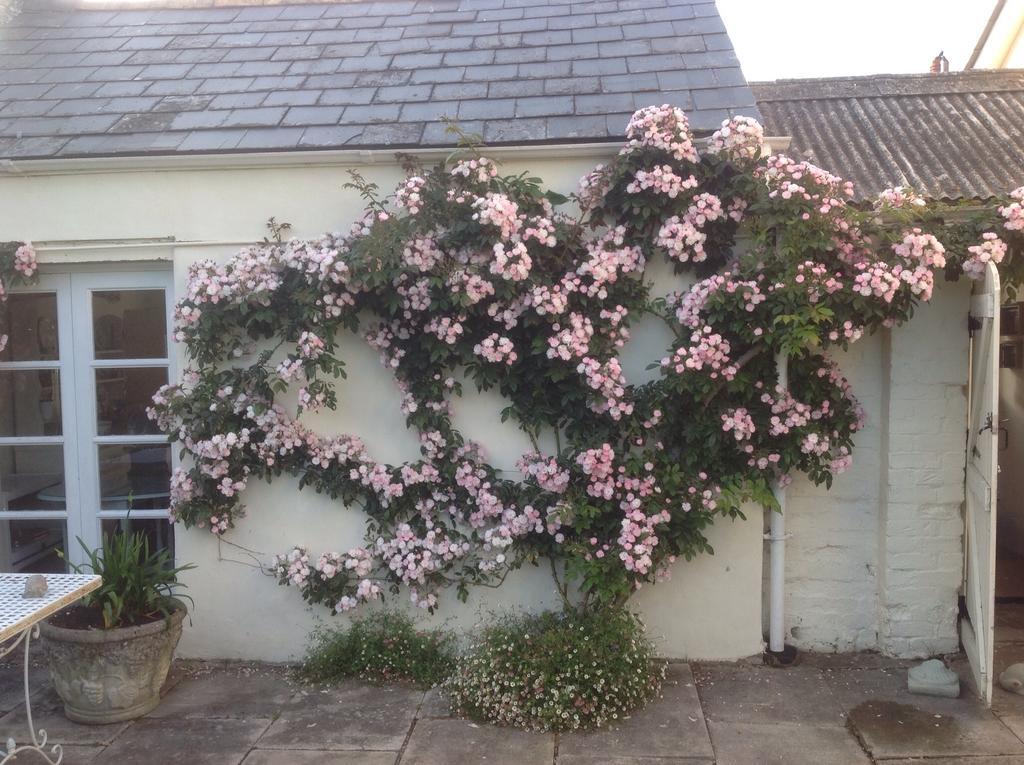 Newton Cottage พอร์ธคอว์ล ภายนอก รูปภาพ